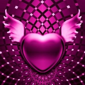 Meet your Posher, Jodi